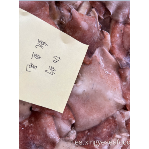 Squid congelado sobras de ala illex coindetiii